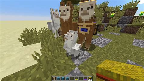 Minecraft Llama Guide: How to Find, Tame, Ride & Breed.